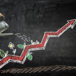 6ff1a294a7dd4e8317cc