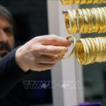 712419bd19f4f0aaa9e5