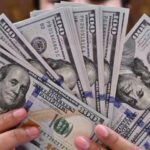 71f69d13875a6e04374b