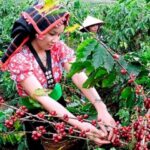 72584224506db933e07c