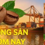 75a9e06d9024797a2035