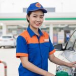 7630d831d87831266869