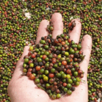 7718cbf4c9bd20e379ac