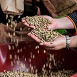 7892201b5352ba0ce343