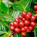 794f5c153c5cd5028c4d