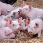 7a5e41683621df7f8630