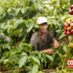 7b40f00f8c4665183c57