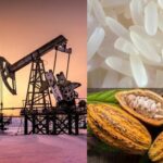 7d3c97252d6cc4329d7d