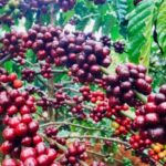 7df6a28dd7c43e9a67d5