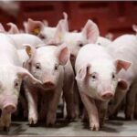 7e3f72b10bf8e2a6bbe9