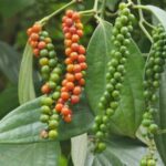 8053be50ae1947471e08