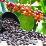 810d10da63938acdd382