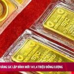 82777fb078f991a7c8e8