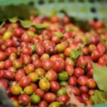 85d526f637bfdee187ae