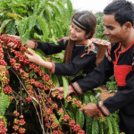 8657ad86bccf55910cde