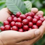 8ac349b257fbbea5e7ea