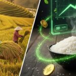 8ba75efb4fb2a6ecffa3