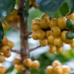 8da7b50fa6464f181657