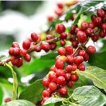 8da9a10ab043591d0052