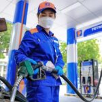 8ed6395e2117c8499106