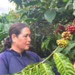 90bb7142640b8d55d41a