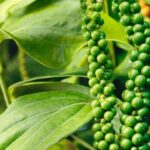 90c62b1e5257bb09e246