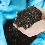 93c5c3b3cbfa22a47beb