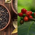 962b8b26f66f1f31467e