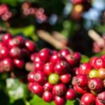 9716400c4745ae1bf754