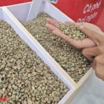 979728204469ad37f478