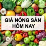 98b1b533cc7a25247c6b