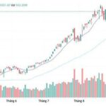 9ab834a427edceb397fc