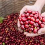 9d07925e94177d492406