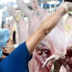 9f01b48acdc3249d7dd2