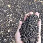 a0d528a62eefc7b19efe