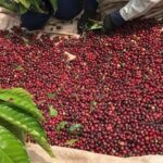 a1da2a692320ca7e9331