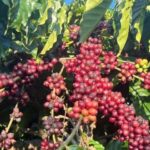 a5494fd3519ab8c4e18b