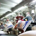 a816d244ad0d44531d1c