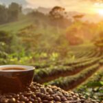 aa4214be6ff786a9dfe6