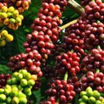 aa8d0f9772de9b80c2cf