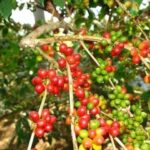 ab72919490dd798320cc