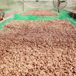 ac3716ae10e7f9b9a0f6