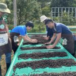 acacfa1087596e073748