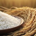 af05381f3c56d5088c47