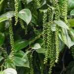 af3bcd73c53a2c64752b