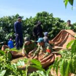 b00847b95ef0b7aeeee1