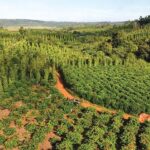 b118c558c3112a4f7300