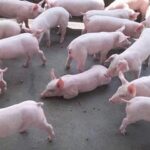 b141b7a3caea23b47afb