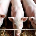 b1839b2ae963003d5972