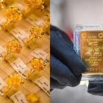 b435e8f890b179ef20a0